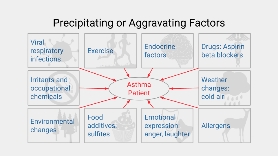 Diagram of asthma triggers